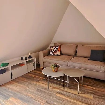 Apartment Dachnest Mit Terasse & Sauna