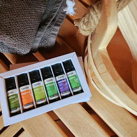 Dachnest Mit Terasse & Sauna Apartment *